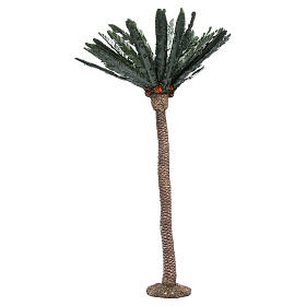 Palme 80 cm hoch aus Kunstharz für Krippe