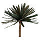 Palme 80 cm hoch aus Kunstharz für Krippe s2