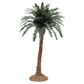 Single palm for nativity scene in resin measuring 25cm