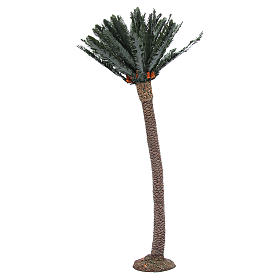 Palmier pour crèche h réelle 65 cm résine