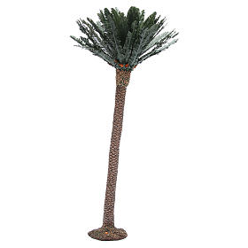 Single palm for nativity scene in resin measuring 65cm