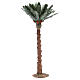 Palm tree for nativity scene in resin measuring 40cm s1