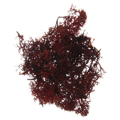 Muschio lichene marrone per presepe 100 gr 2