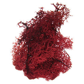 Mousse lichen rouge pour crèche 100 gr