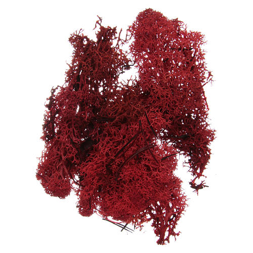 Mousse lichen rouge pour crèche 100 gr 1