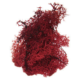 Muschio lichene rosso per presepe 100 gr