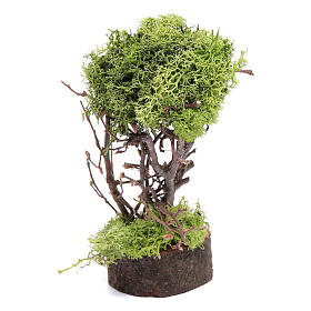 Moos, Stroh und Bäume für Krippe: Baum aus Flechten 15 cm hoch für DIY-Krippe