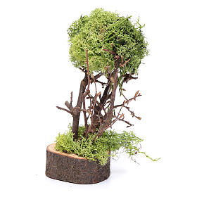 Moos, Stroh und Bäume für Krippe: Baum aus Flechten 15 cm hoch für DIY-Krippe