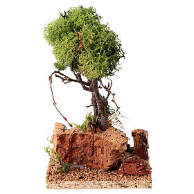 Albero di lichene per presepe h. 15 cm