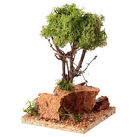 Albero di lichene per presepe h. 15 cm