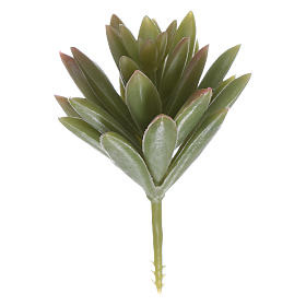 Musgo, Líquenes, Plantas, Pavimentações: Agave para bricolagem presépio Musgo, Líquenes, Plantas, Pavimentações: Agave para bricolagem presépio