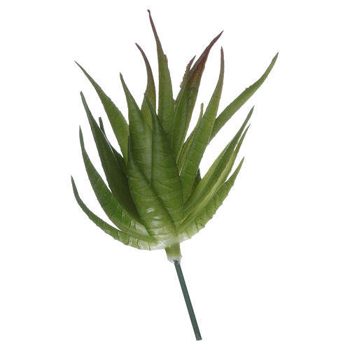 Aloe pour bricolage crèche 2