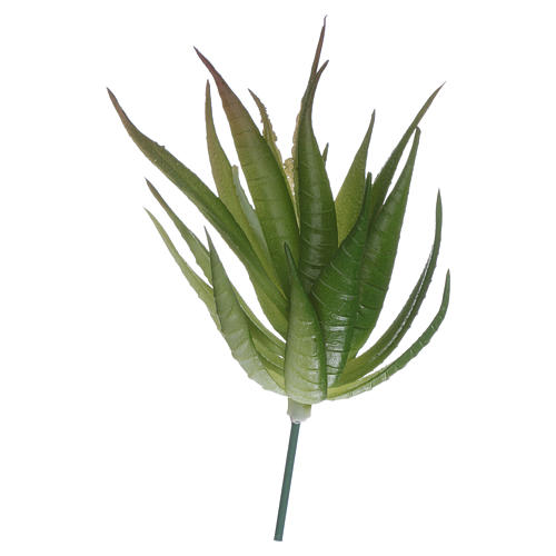Aloe para bricolagem presépio 1