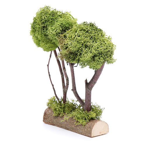 Wooden double tree with lichen for nativity scene 2
