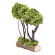 Wooden double tree with lichen for nativity scene s2