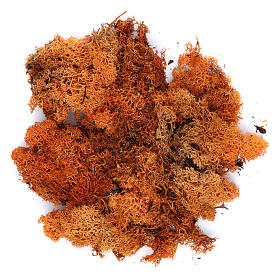 Lichen crèche couleur orange 100 g