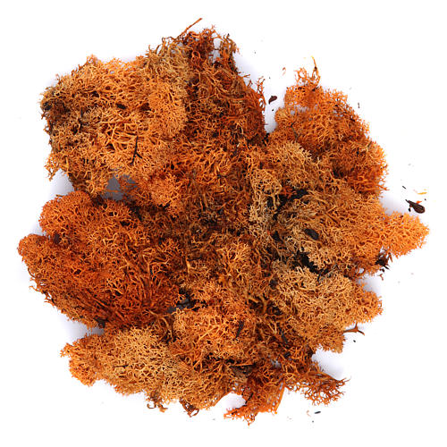 Lichen crèche couleur orange 100 g 1