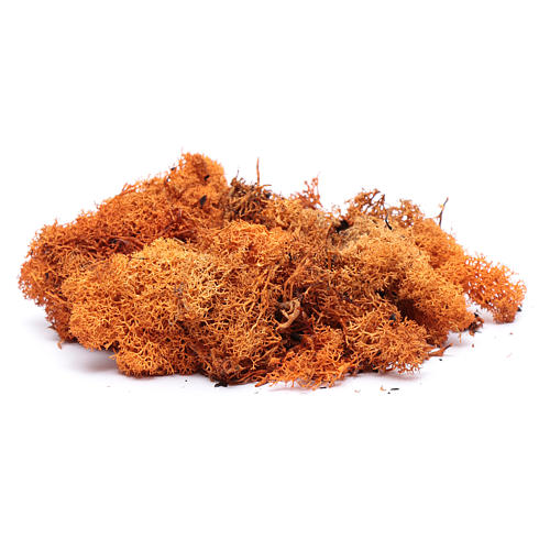 Lichen crèche couleur orange 100 g 2