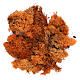 Lichen crèche couleur orange 100 g s1