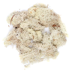 Lichen blanc 100 g crèche