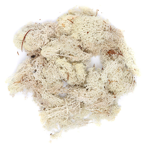 Lichene bianco 100 gr per presepe 1