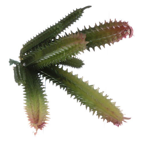 Kaktus mit 7 Trieben für DIY-Krippe 3