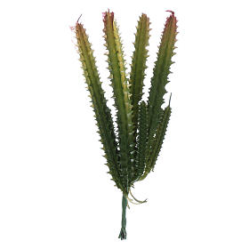 Moss, Trees, Palm trees, Floorings: Nativity scene cactus 7 stems Moss, Trees, Palm trees, Floorings: Nativity scene cactus 7 stems