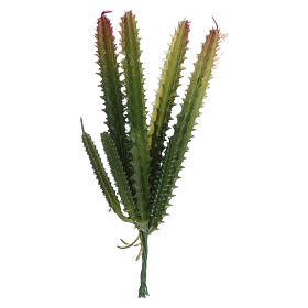 Mousse végétale, Lichens, Arbres, Pavages: Cactus 7 bras pour crèche
