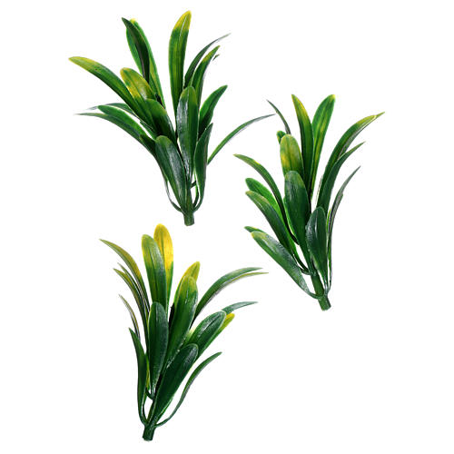 Cespugli con foglie lunghe 3 pz 2
