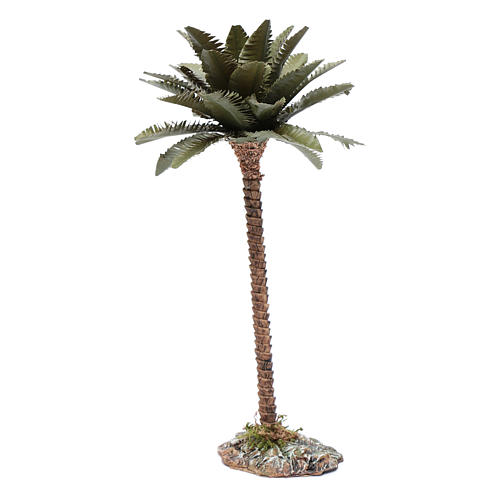 Palmera 20 cm para belén 3