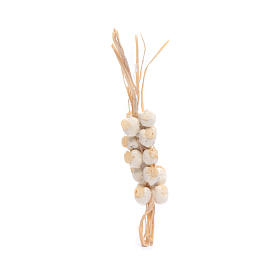Bunch of garlic for Neapolitan nativity scene