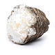 Cesto di paglia con ricotta s2