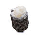 Straw basket with ricotta cheese s1
