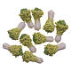 Chinese cabbage set of 10 pieces s1