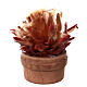 Kaktus in einem Topf 6 cm hoch für DIY-Krippe s1