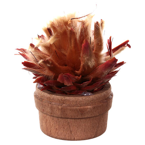 Cactus in vaso h reale 6 cm presepe 1