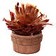 Cactus in vaso h reale 6 cm presepe s2