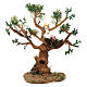 Tree with birds for Nativity Scene real height 16 cm s4