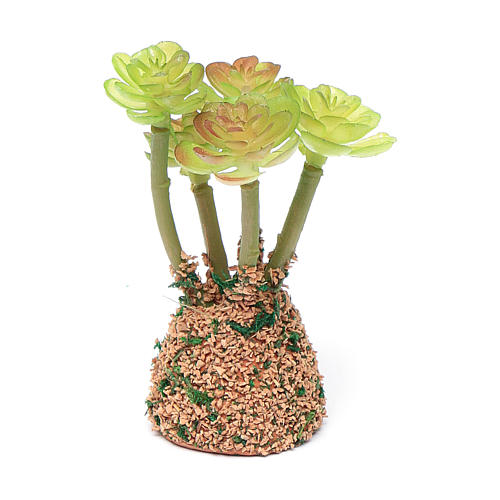 Kaktus für Krippe gemischte Modelle 7cm 4