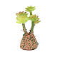 Kaktus für Krippe gemischte Modelle 7cm s3