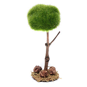 Baum 12 cm hoch für DIY-Krippe