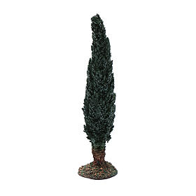 Cipresso presepe h reale 20 cm