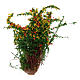 Busch mit Blüten 3,5 cm hoch für DIY-Krippe s1