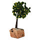 Limonenbaum Basis aus Kork für 7-10 cm Krippe s4