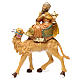 Whise kings on camels for 30 cm Nativity Scene s3