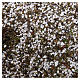 Thin gravel with moss for Nativity Scene 160 gr s1