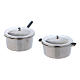 Steel pots with lid with diameter 2 cm s1