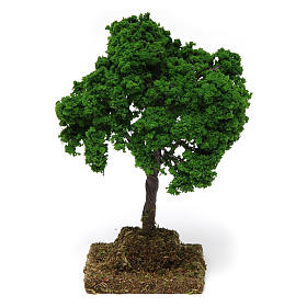Quercia 15x10x10 cm