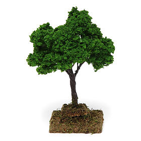 Quercia 15x10x10 cm