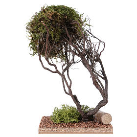 Tree with natural moss for Nativity scene 20x10x10 cm